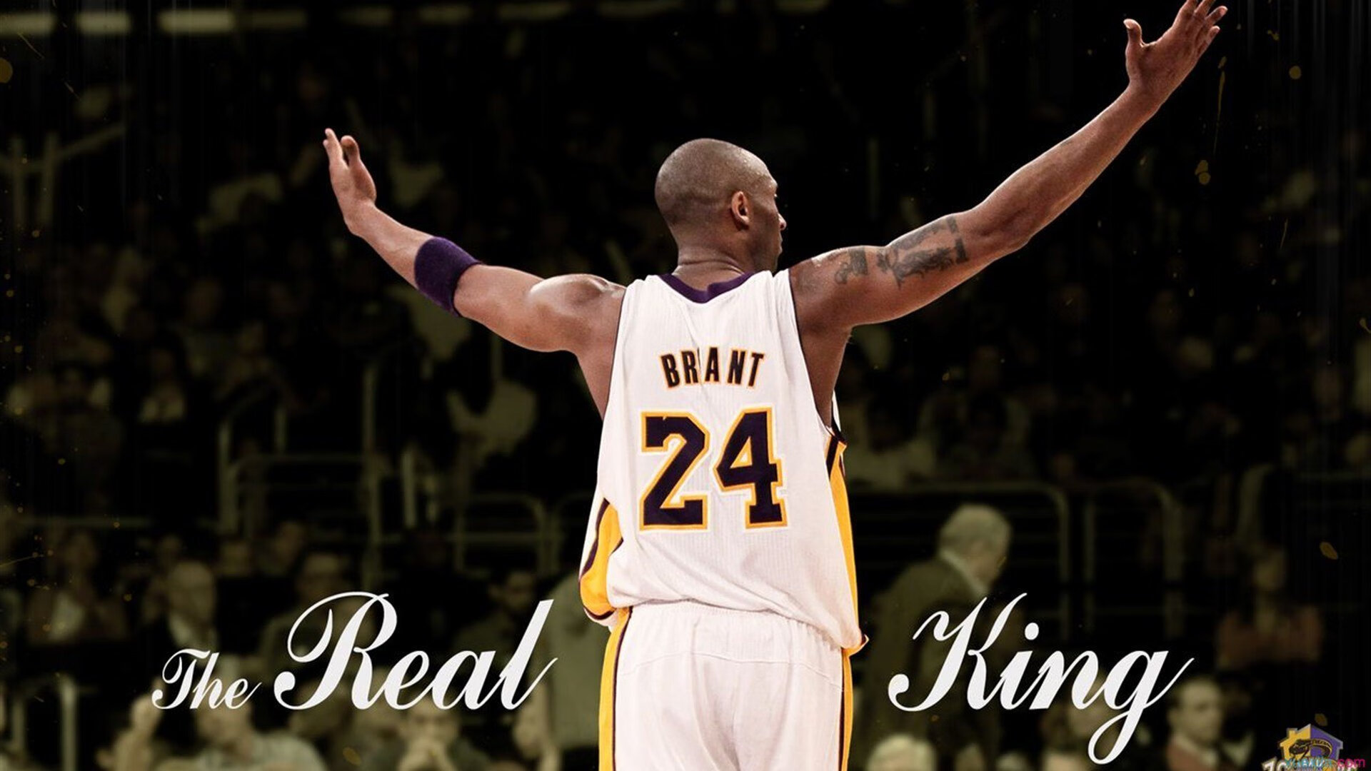 鏖战与统治,韩国队激战印度队,陈雨菲展现羽坛女王风范